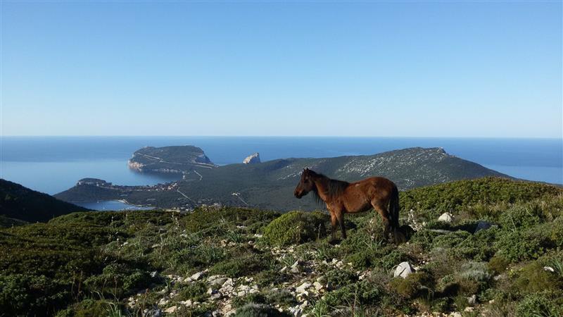Rita B&B Sea Sun And Nature Santa Maria la Palma Dış mekan fotoğraf